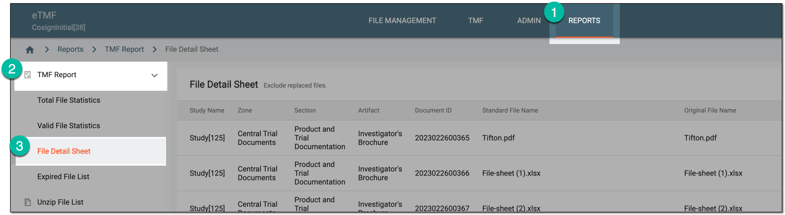 Accessing file detail sheet report