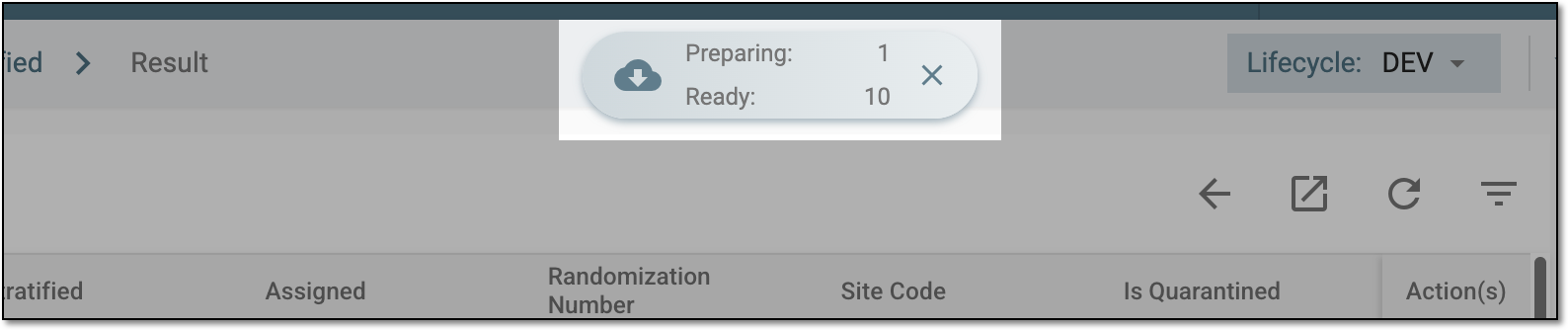 Downloads widget for randomization result