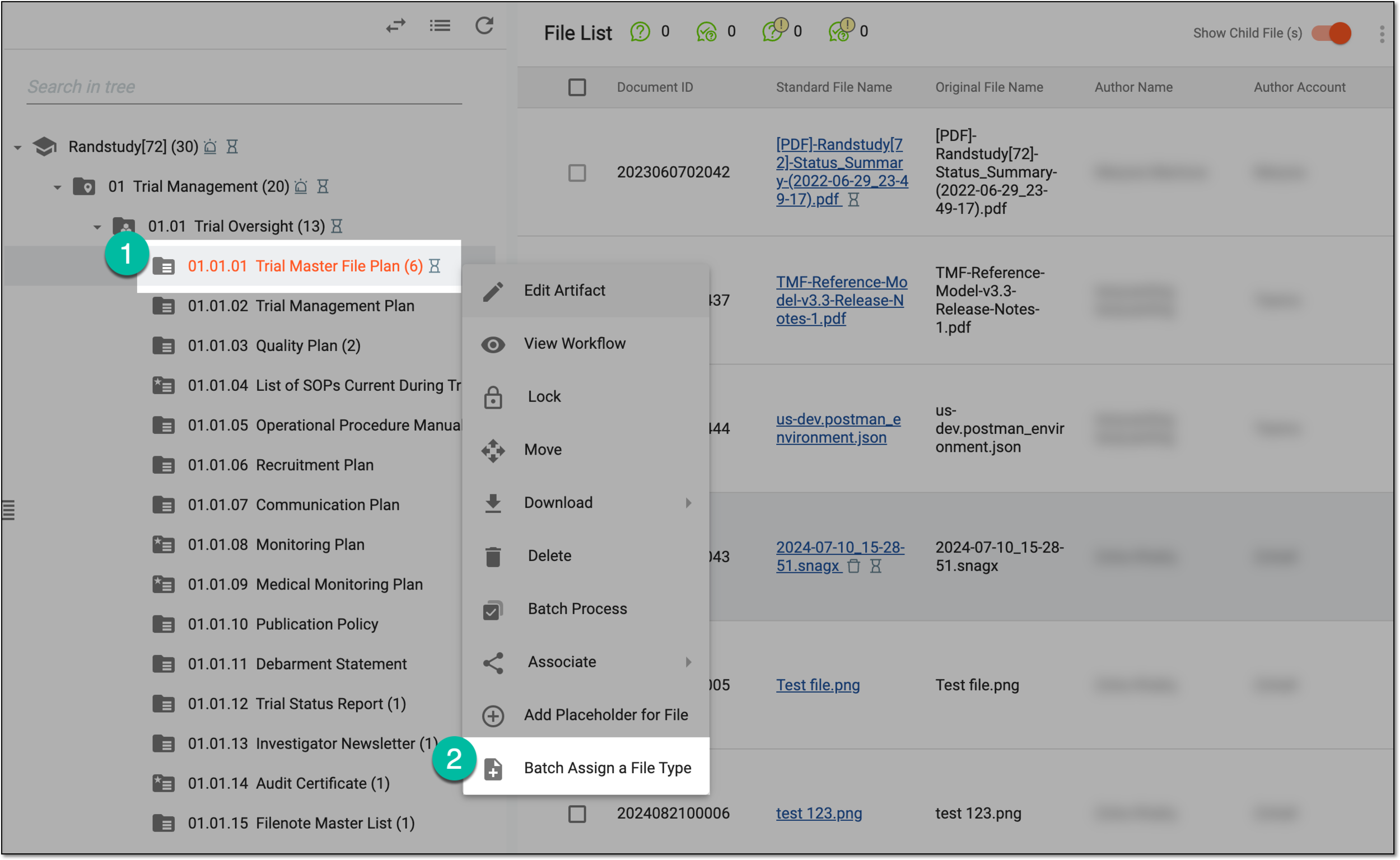 Accessing file type assignation
