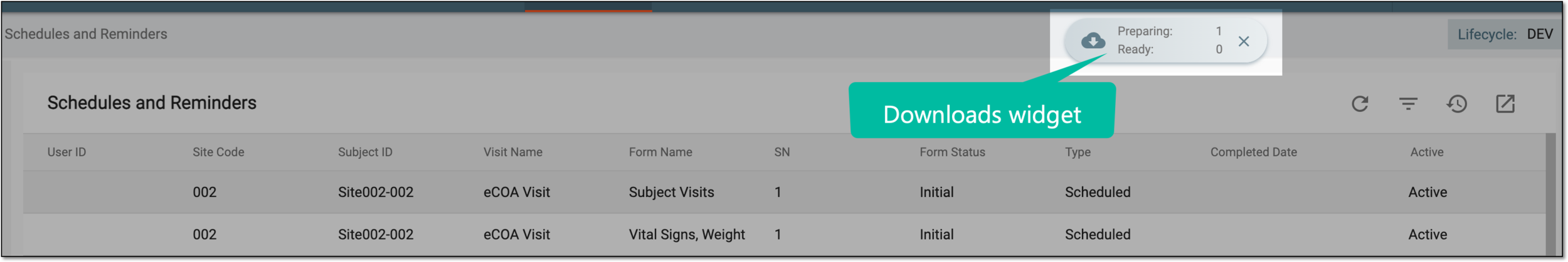 Downloads widget