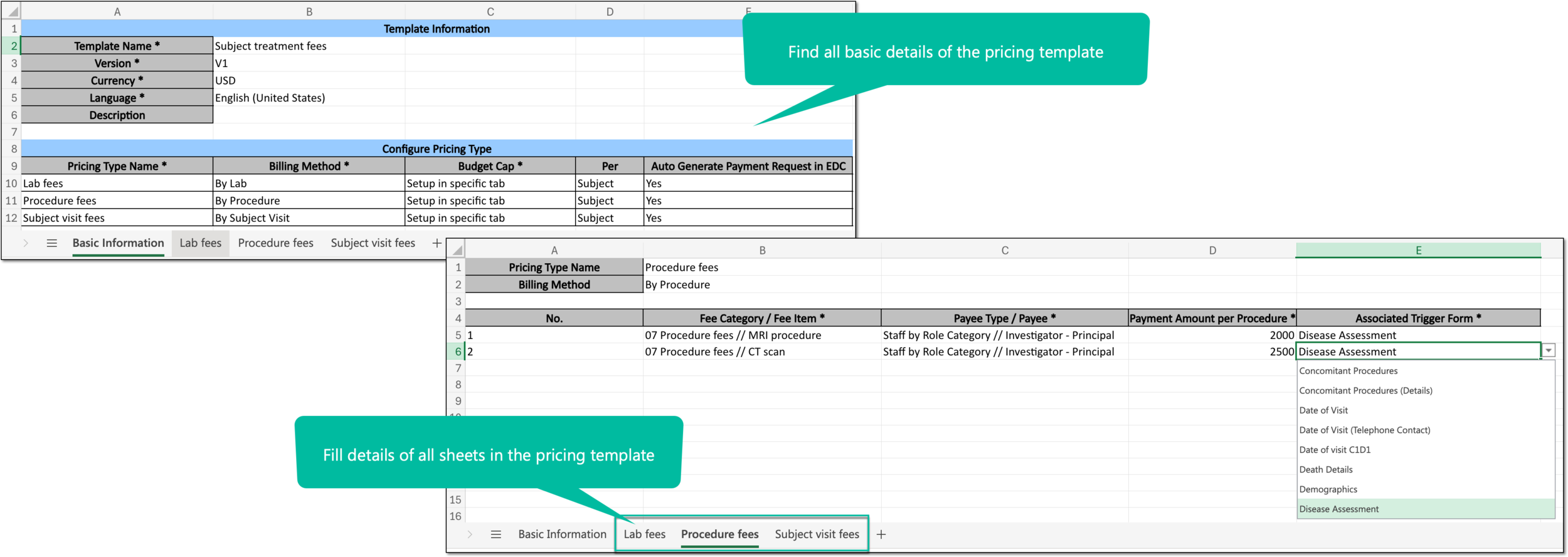 Example of filling pricing template via Excel