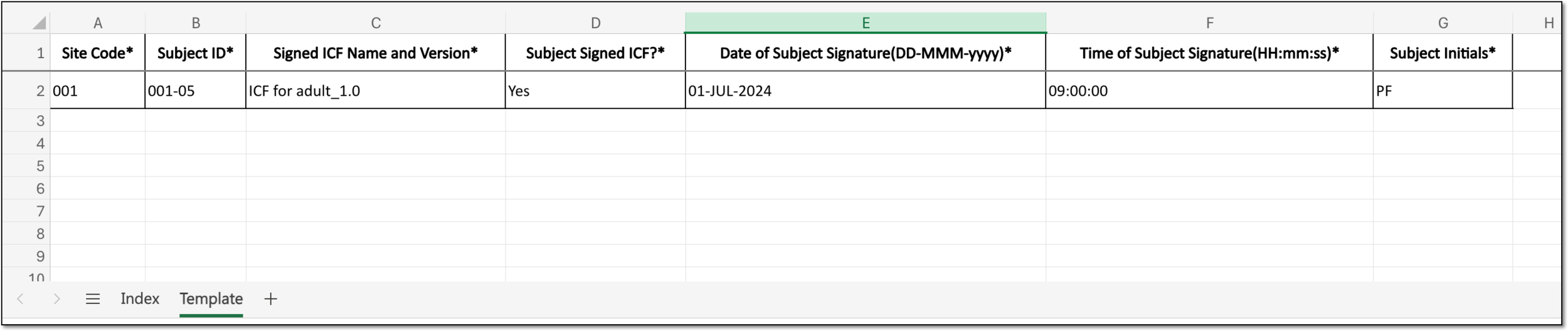 Filled ICF tracking record template example