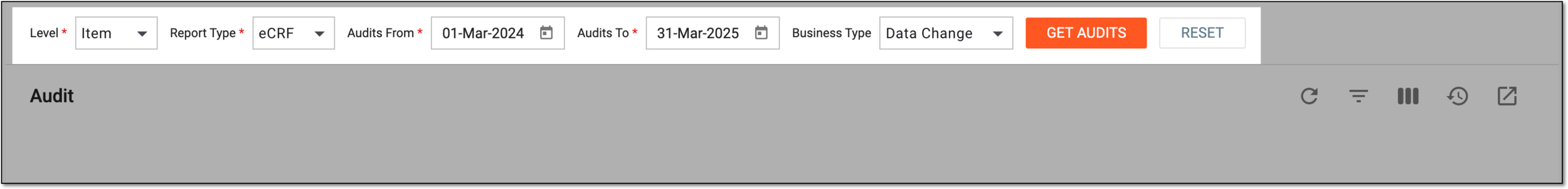 Setting filters and sorting audit report