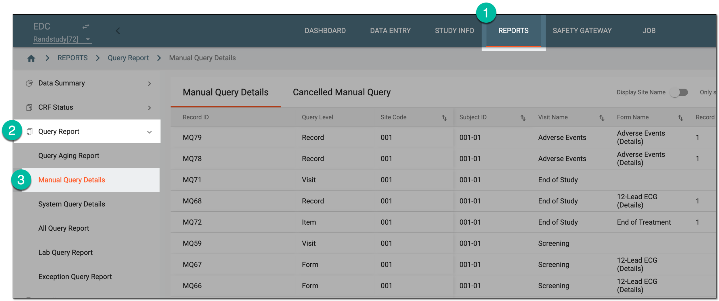 Accessing manual query details