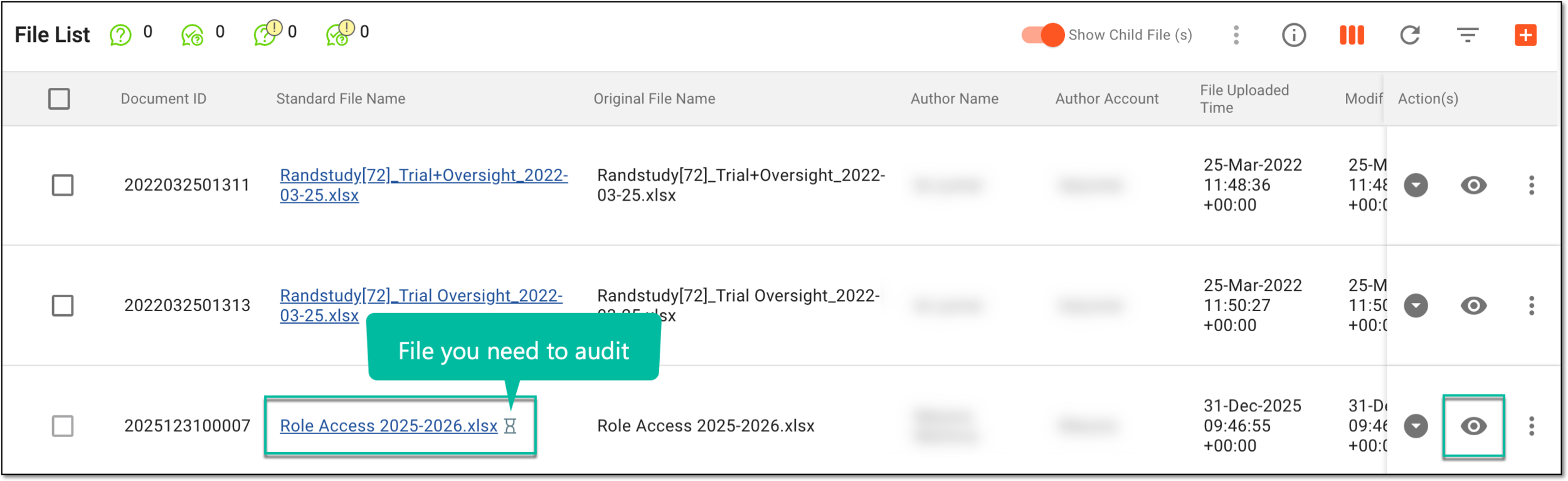 Selecting to preview file in auditing