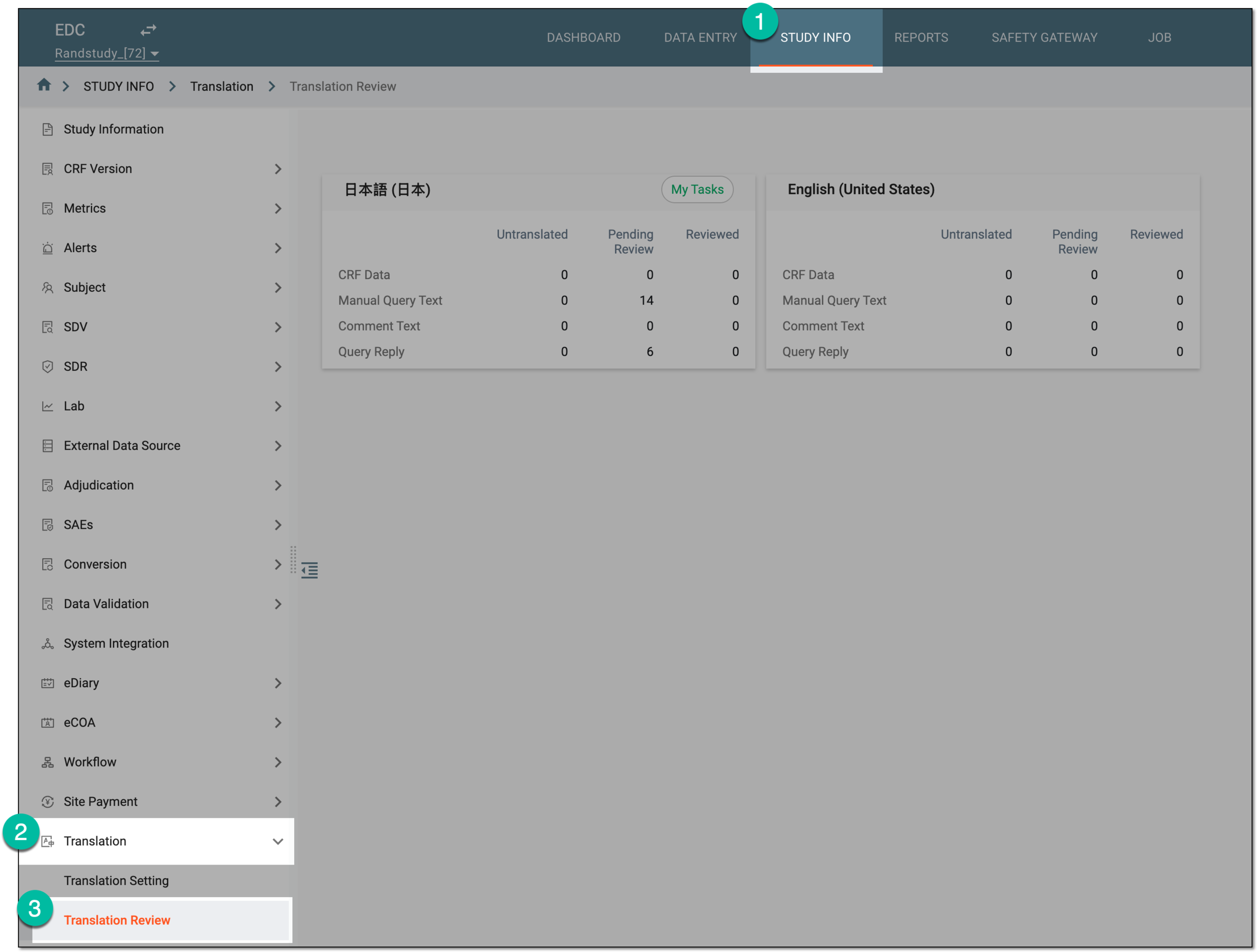 Accessing translation review