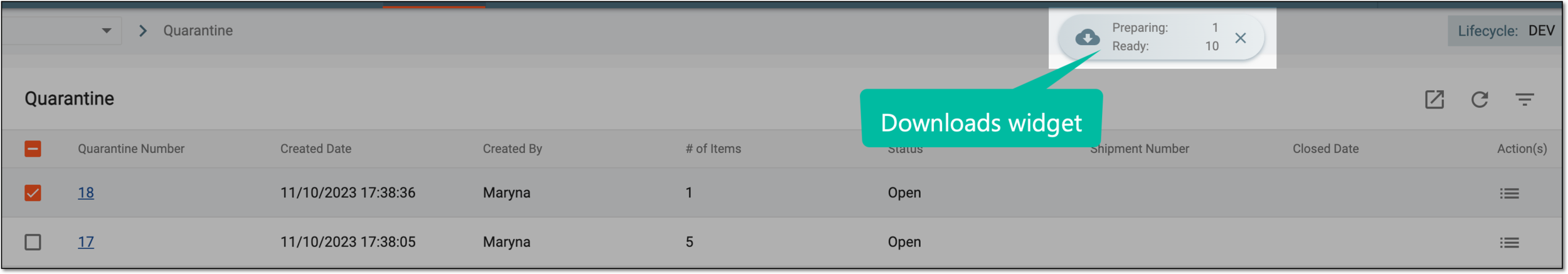 Downloads widget
