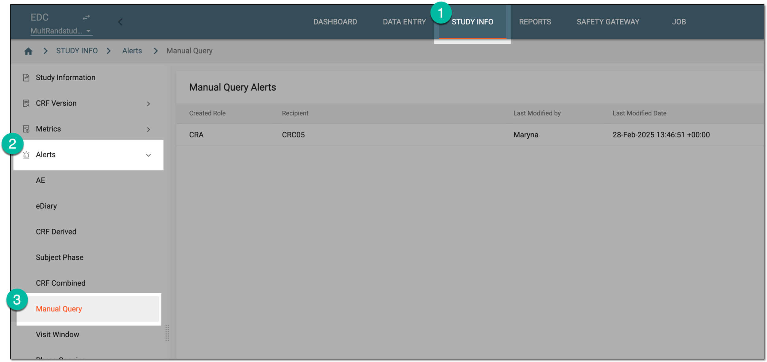 Accessing manual query alerts