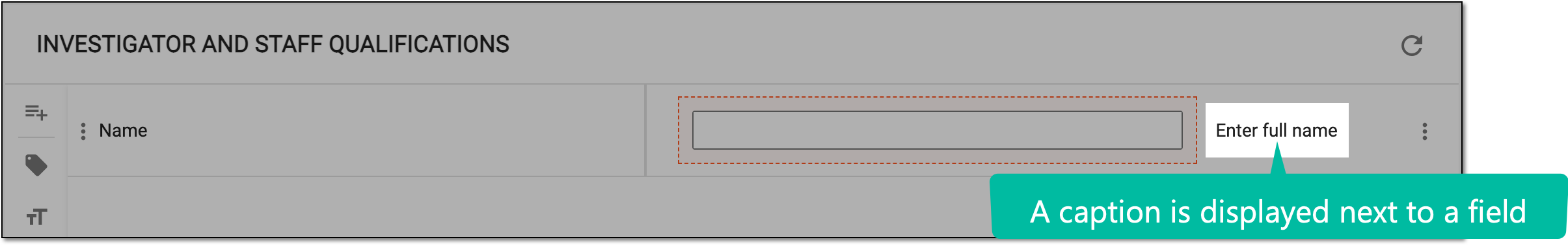 Displaying caption in form