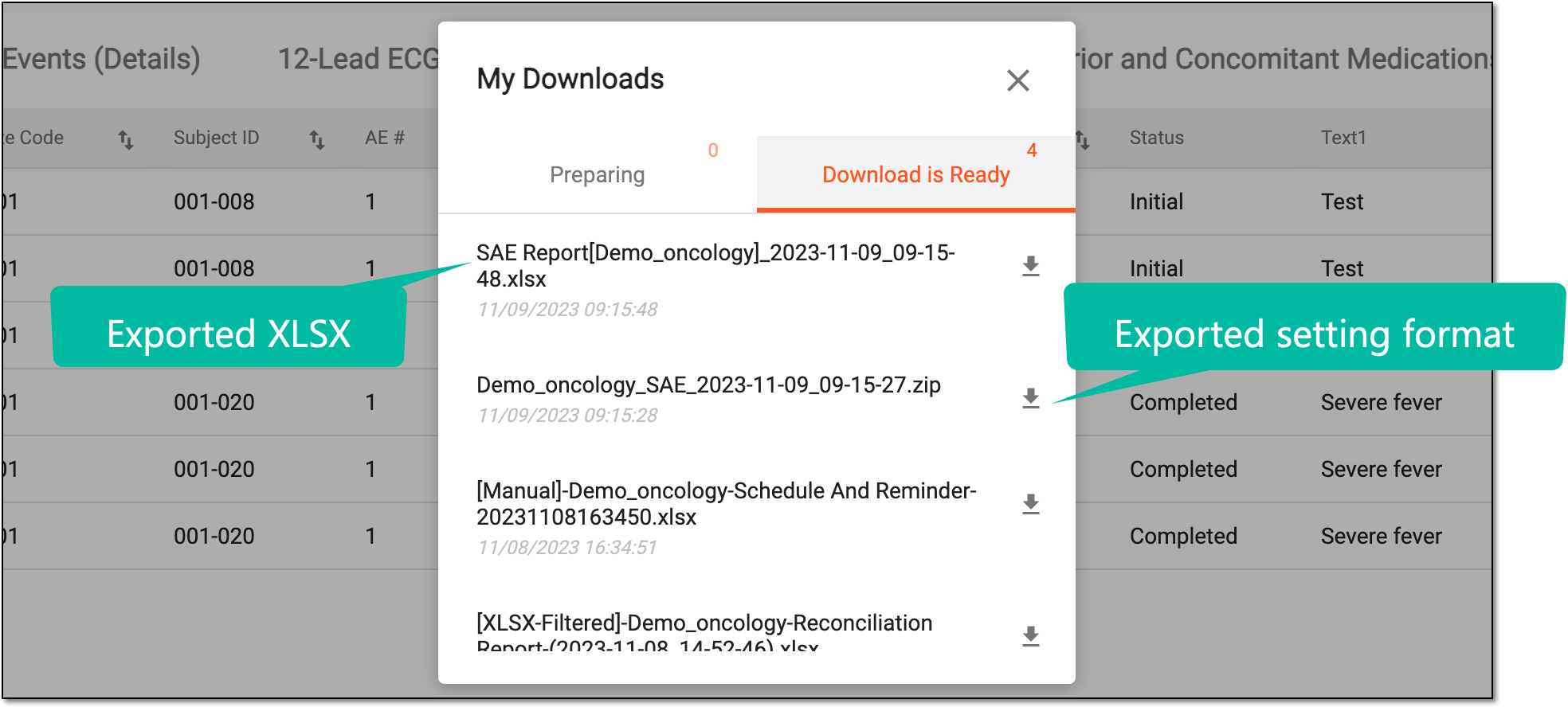Viewing downloads