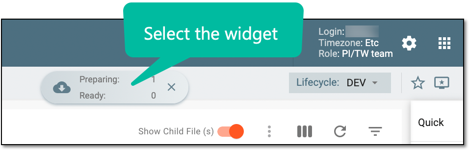 Accessing widget panel