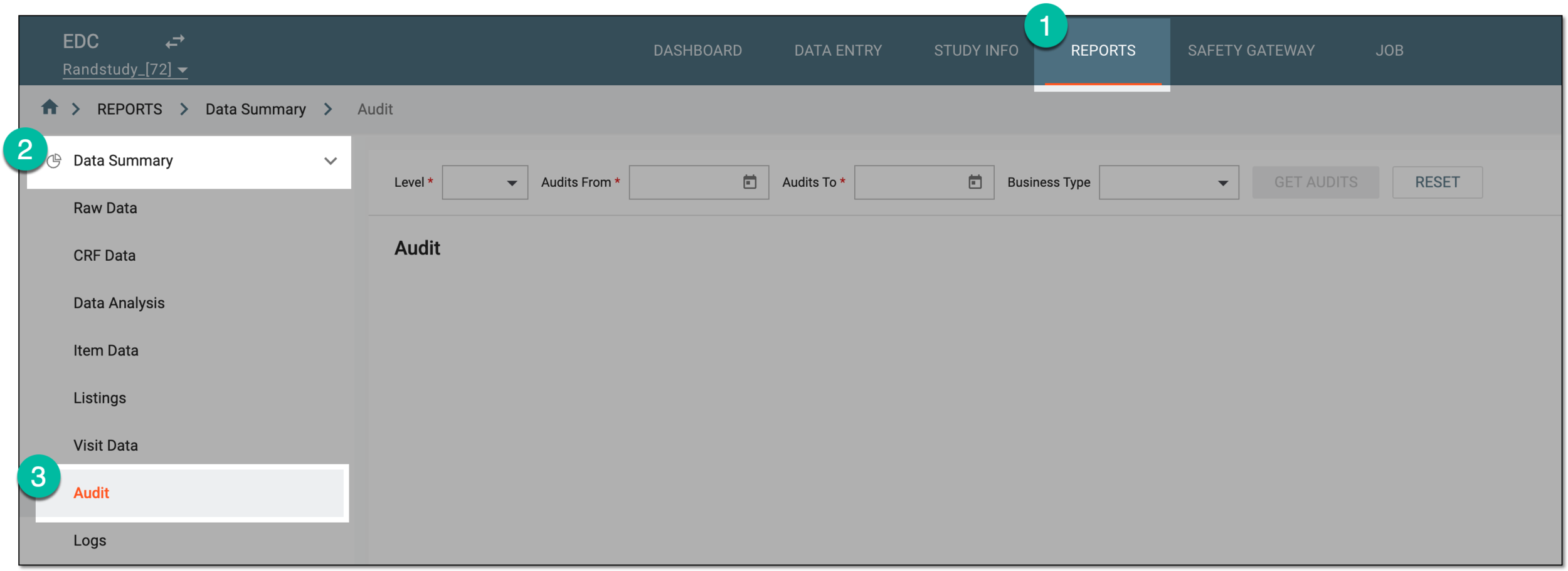 Accessing audit report