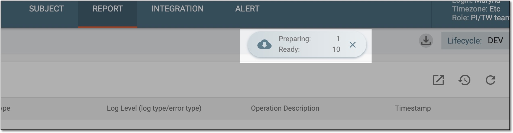 Report export widget