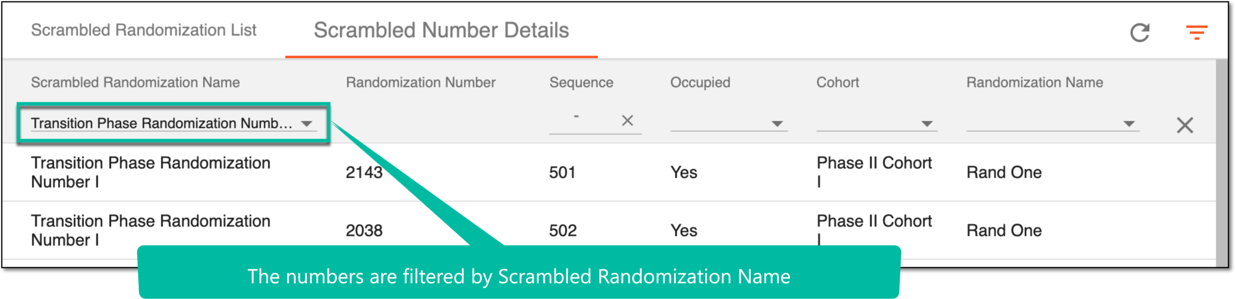 Viewing filtered scrambled number detail