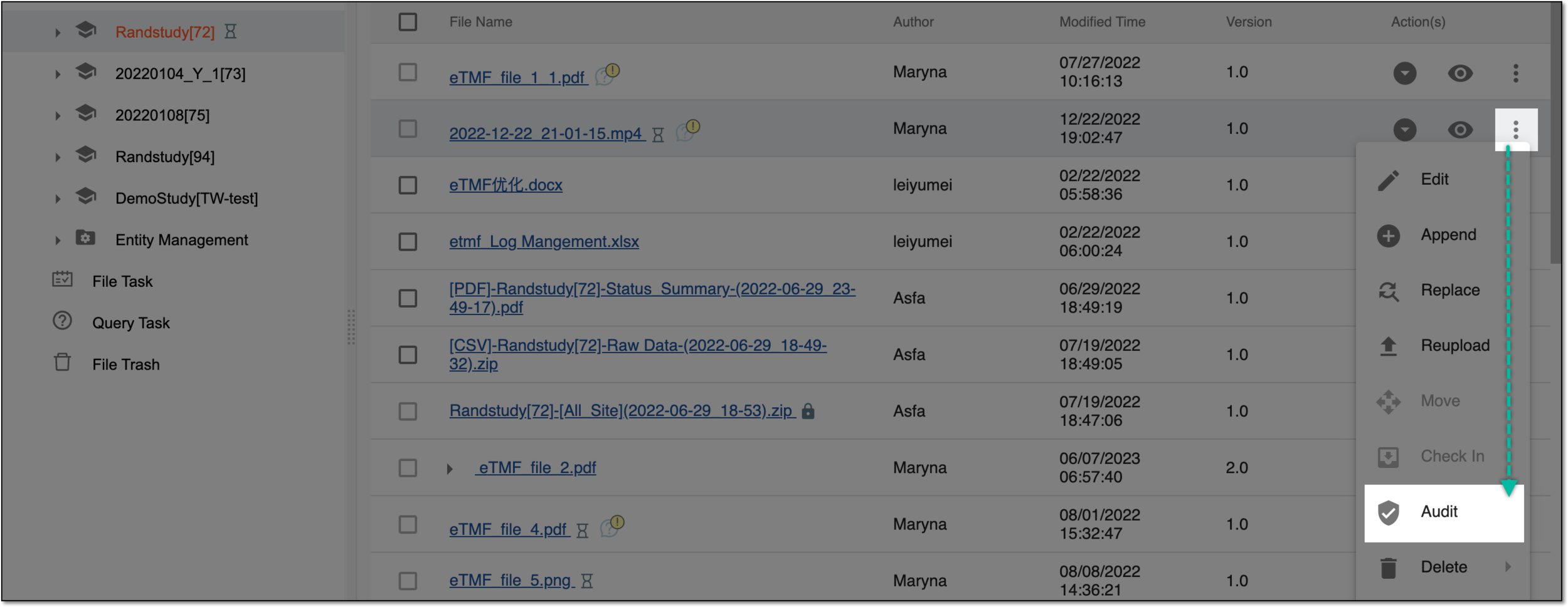 Selecting file auditing option