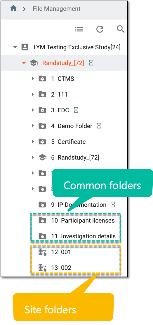 Created custom folders: Common and site types