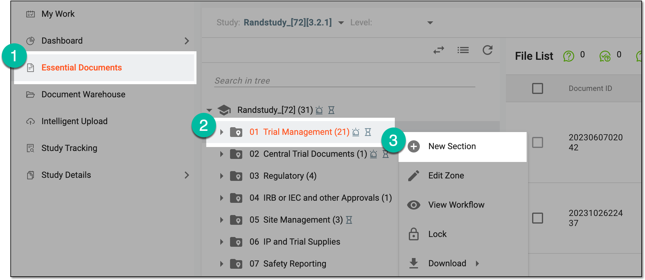Selecting option to create section