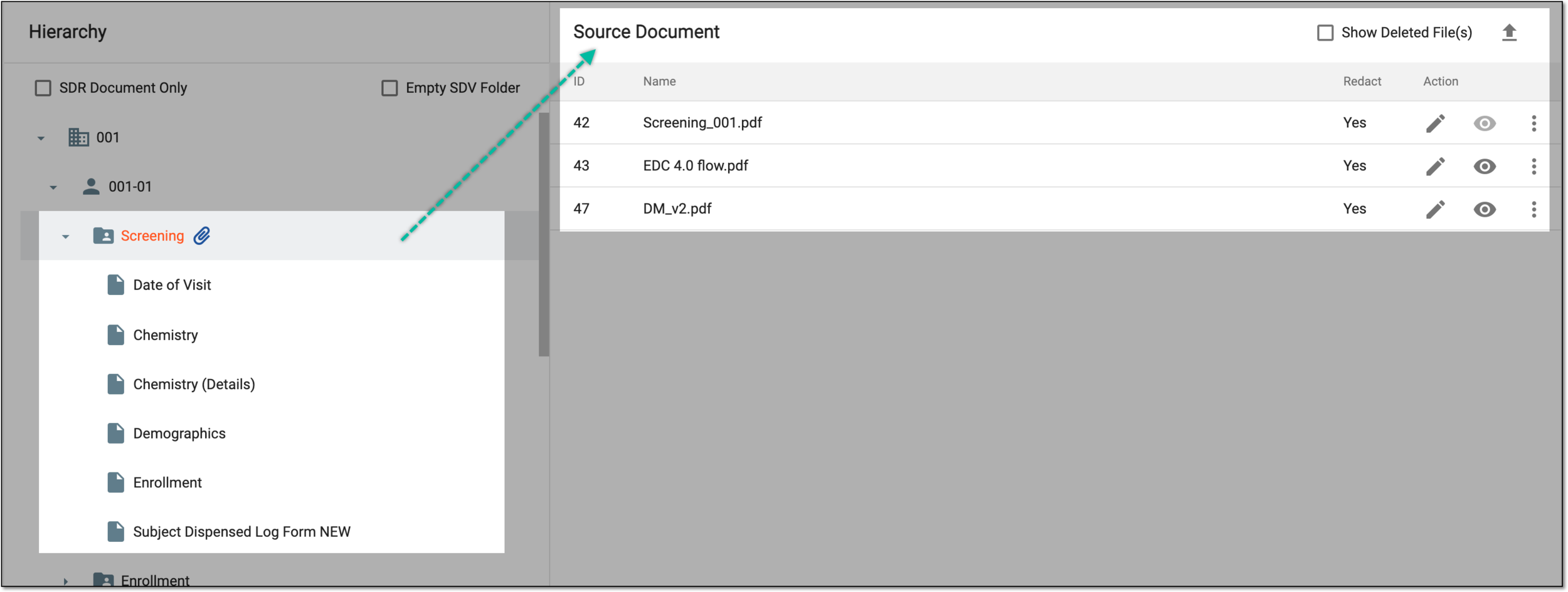 Reviewing source documents for visit