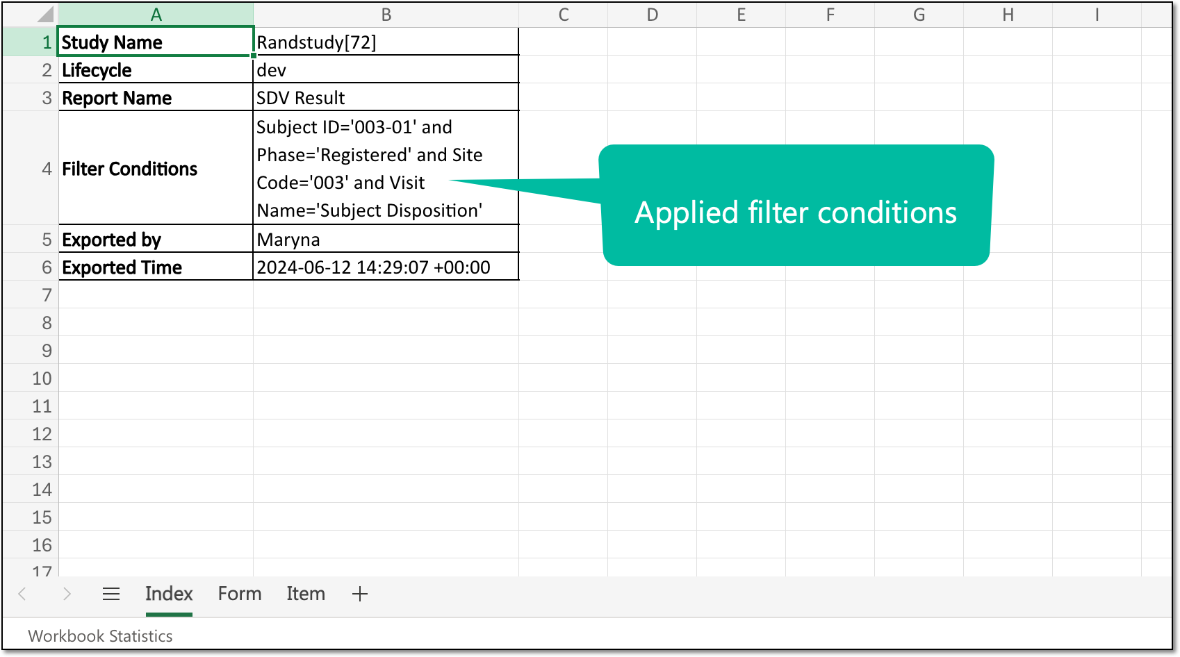Reviewing filter conditions in exported XLSX