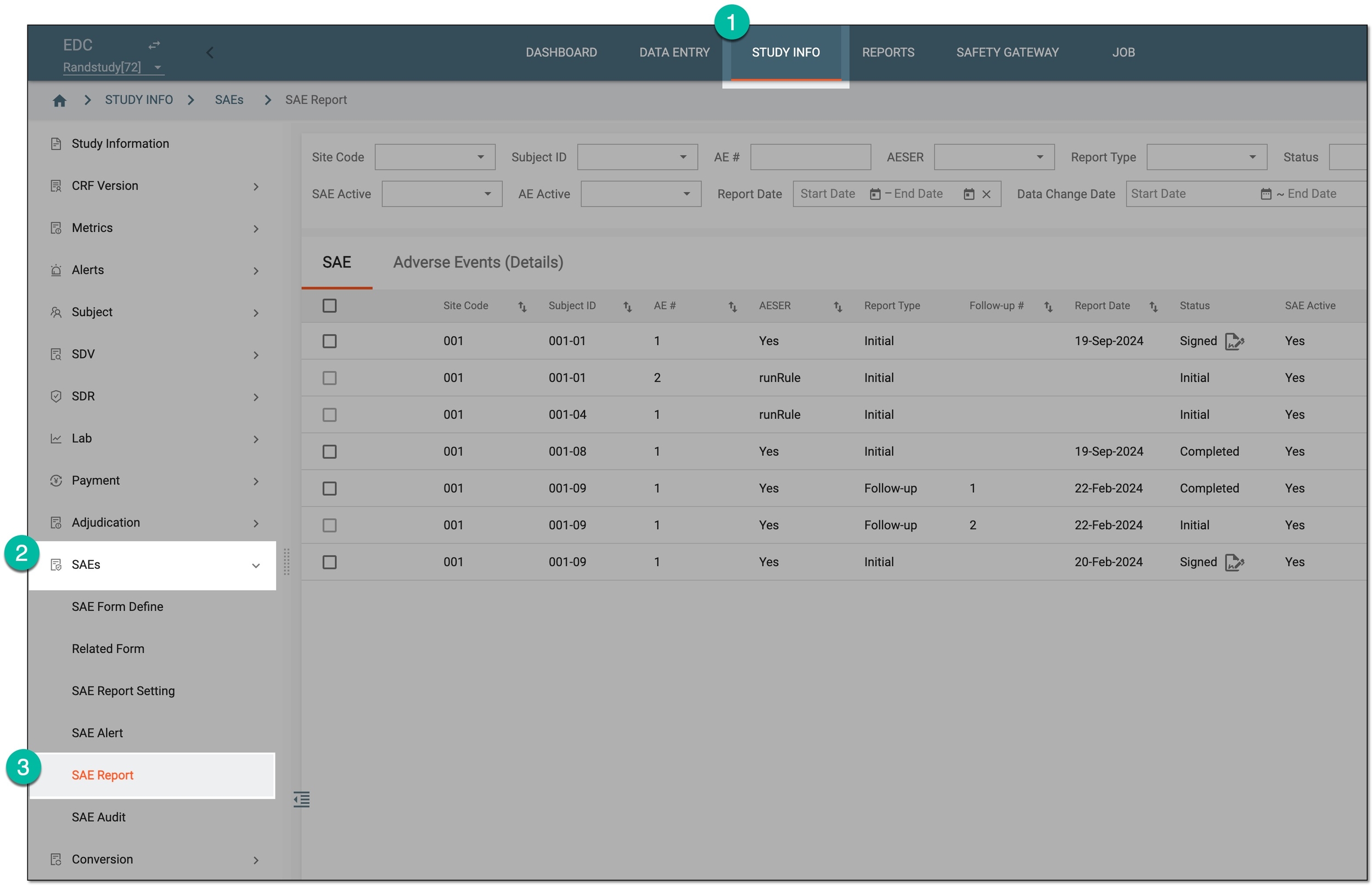 Accessing SAE report