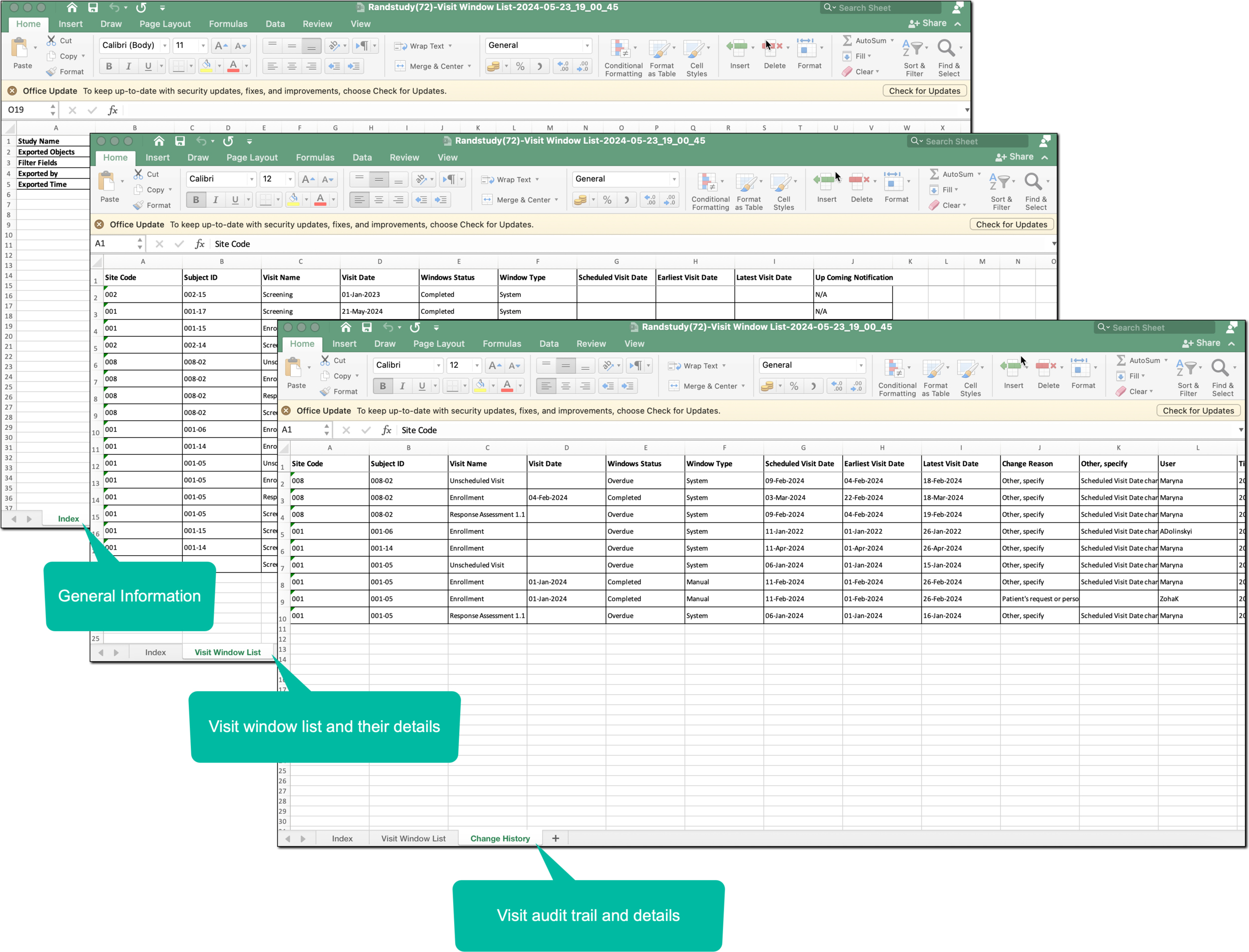 Local file details