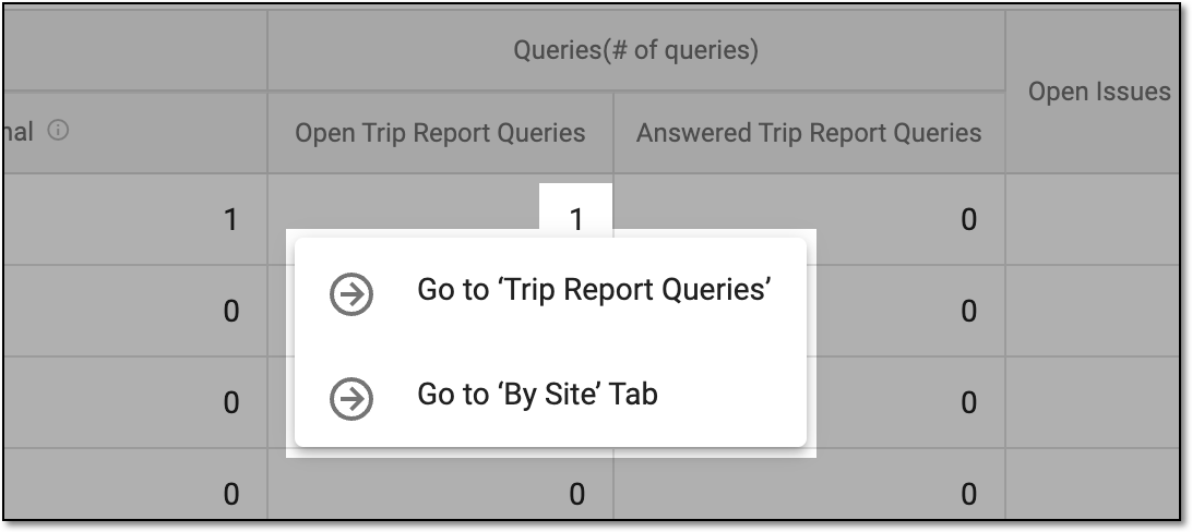 Trip report query actions