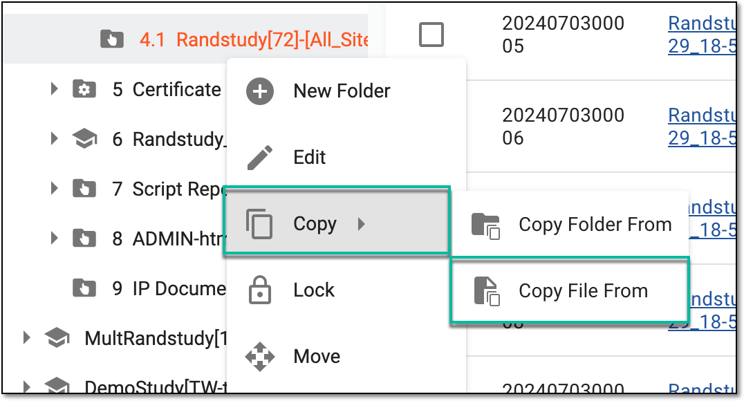 Selecting option to copy file