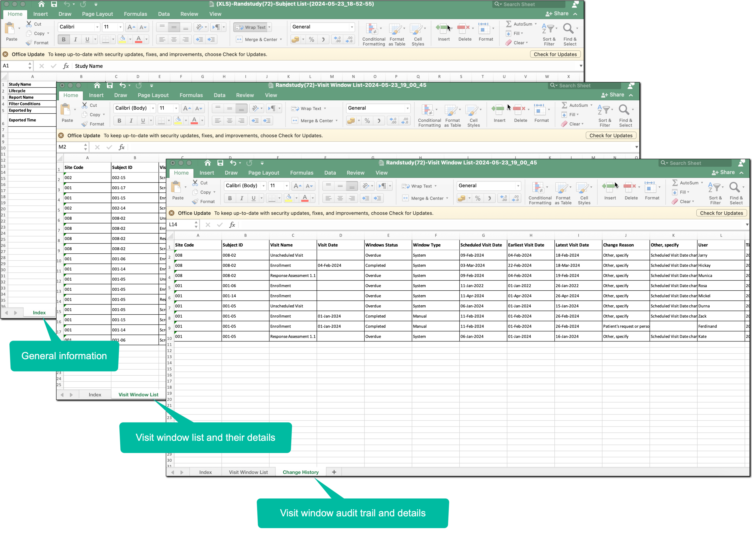 Local file details