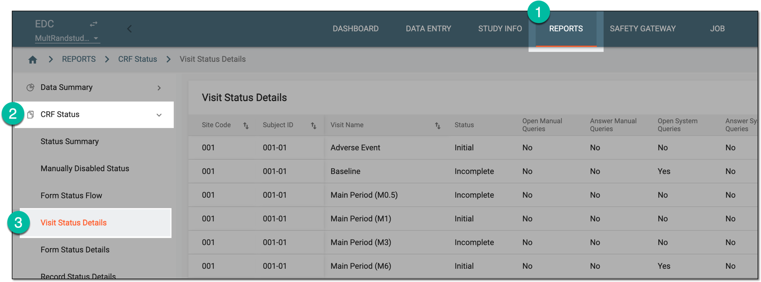 Accessing visit status details report
