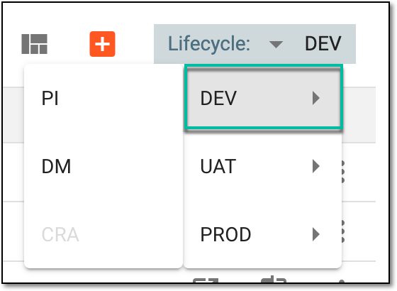 Selecting DEV lifecycle and role