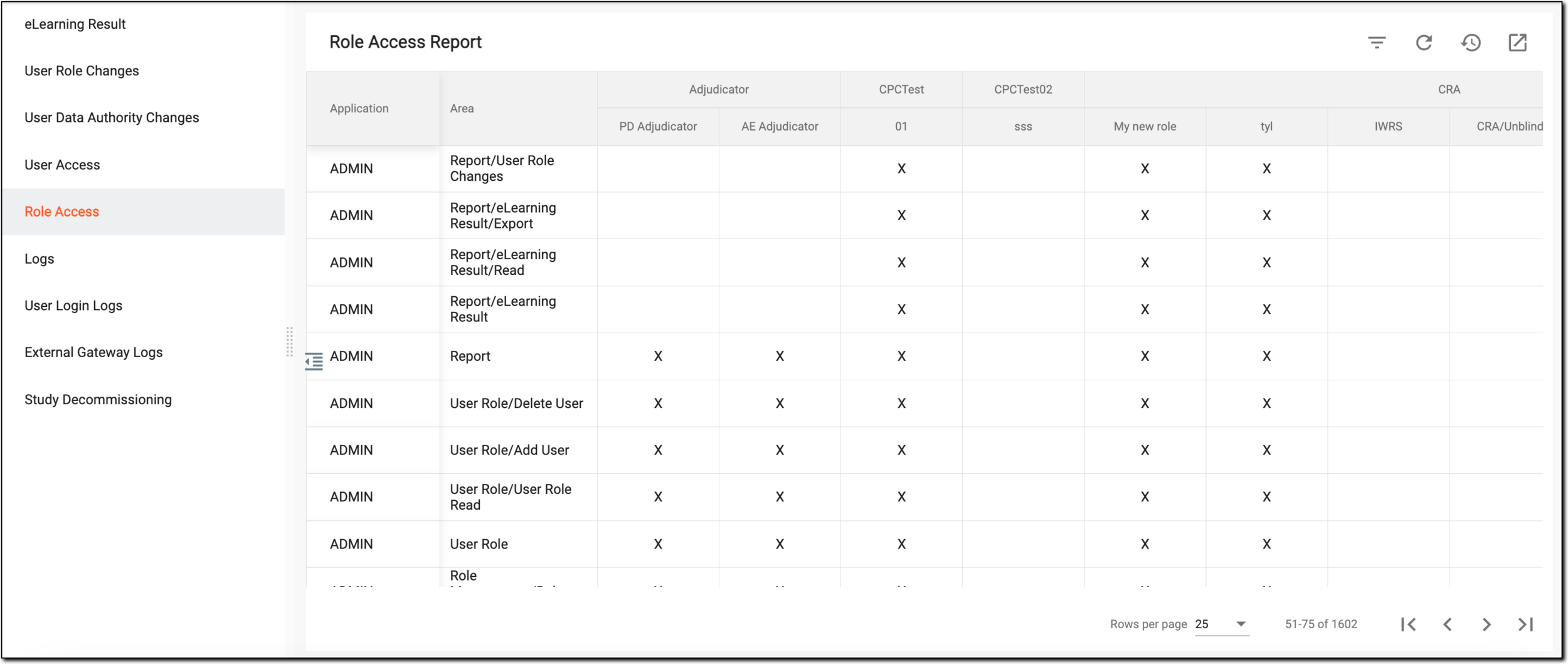 Viewing role access report