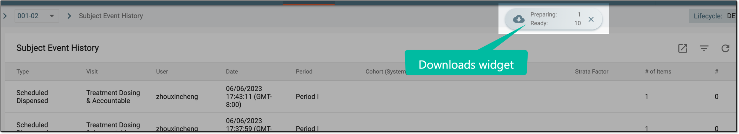 Downloads widget