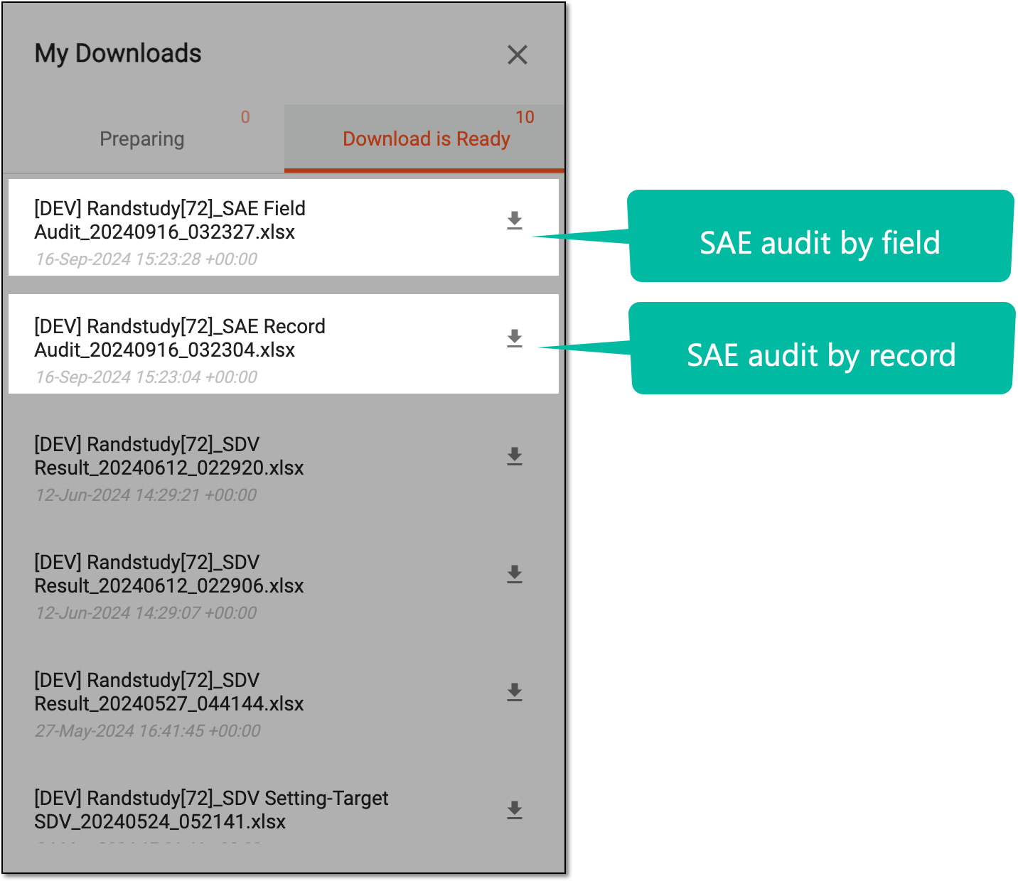 Accessing exported SAE audit files