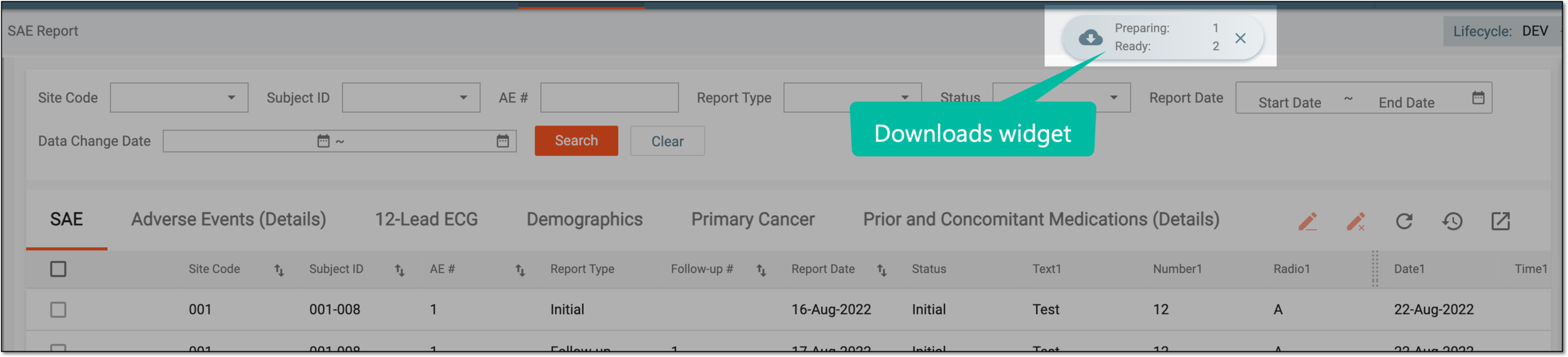 Downloads widget
