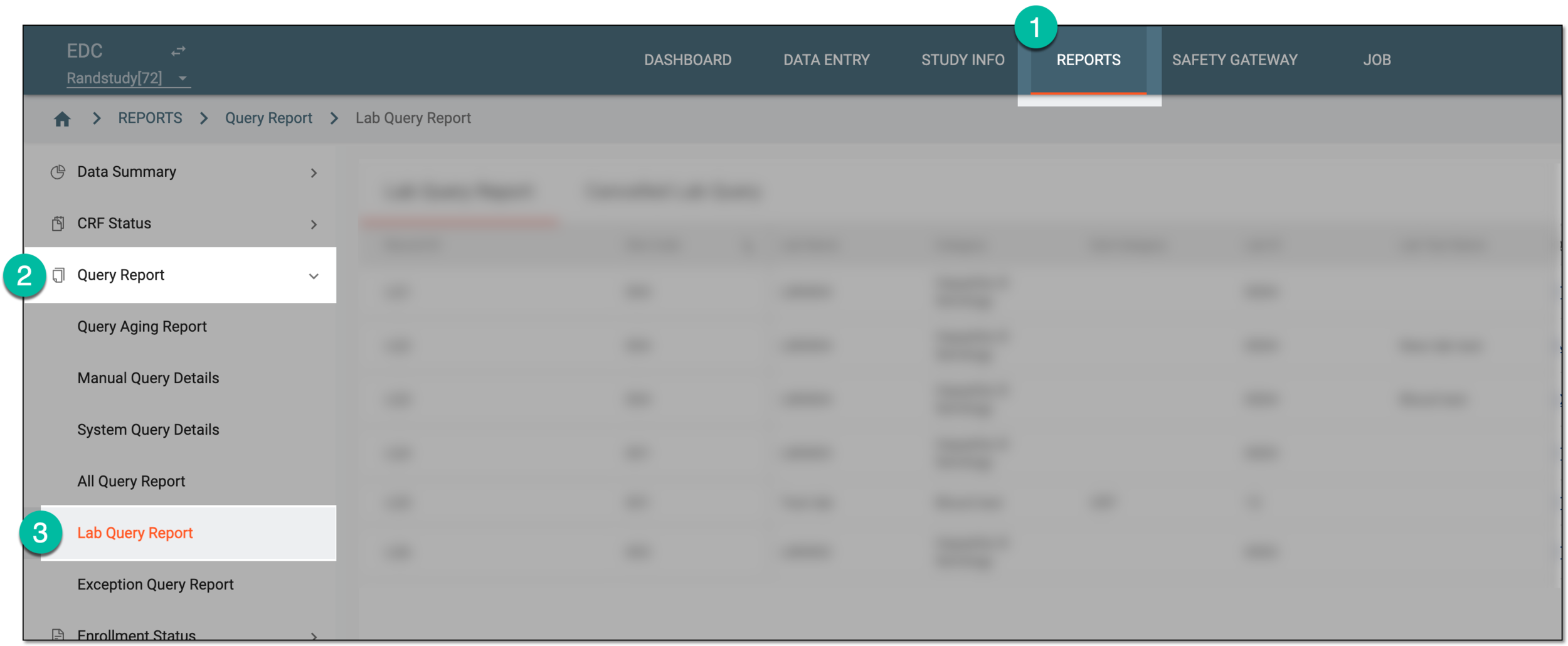 Accessing lab query report