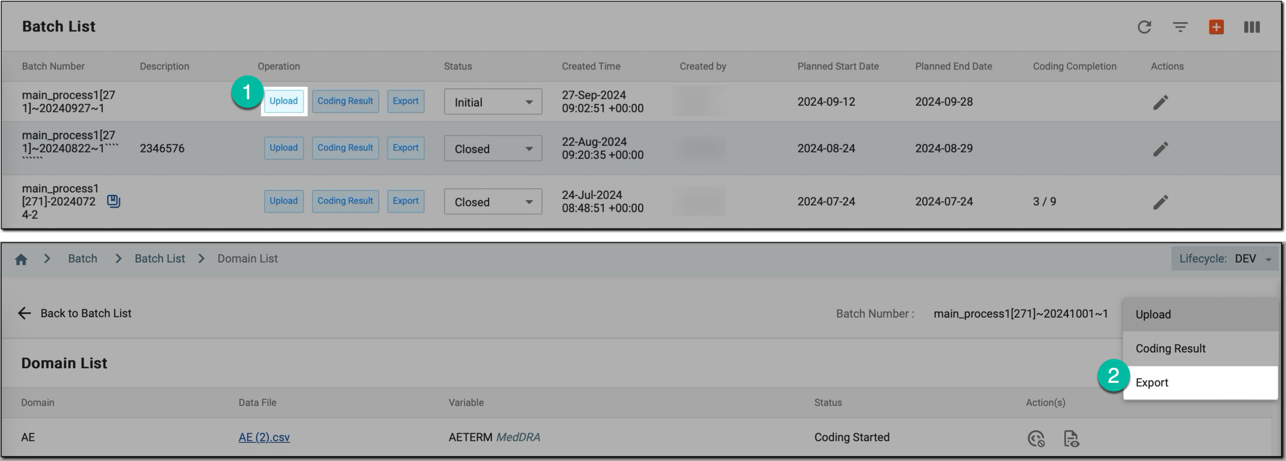 Accessing and exporting coding batch domains