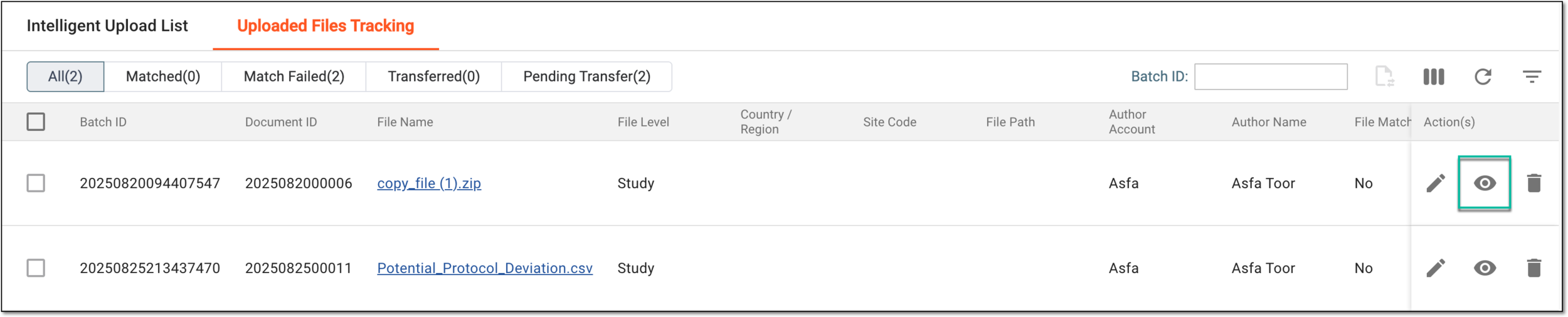 Accessing option to preview file