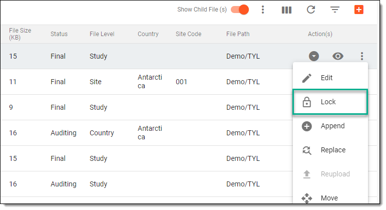 Selecting option to lock file