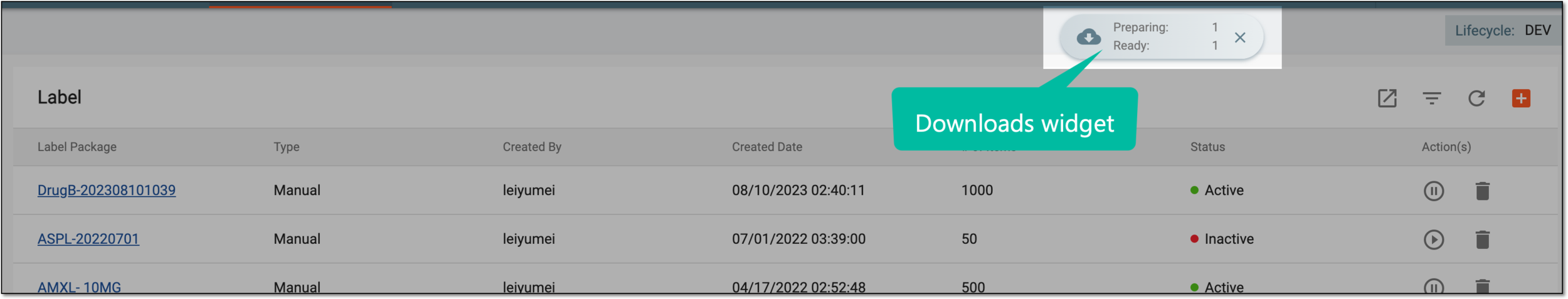 Downloads widget