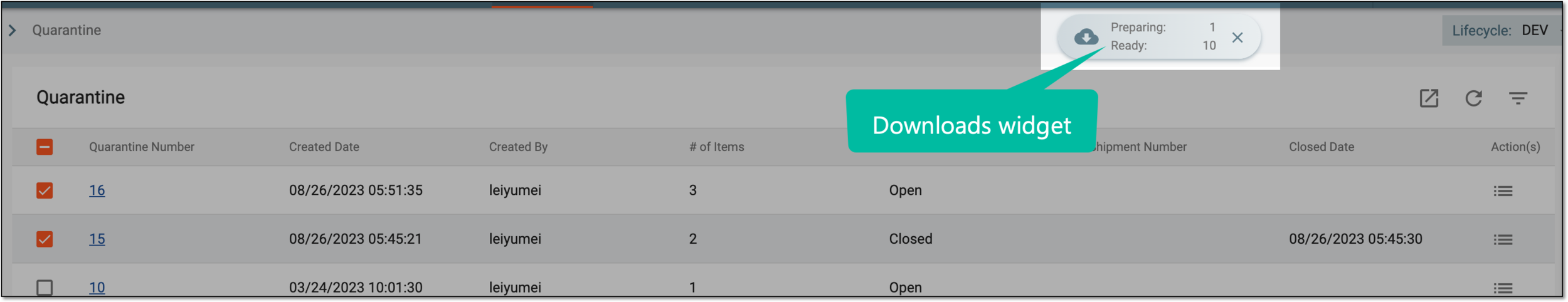 Downloads widget