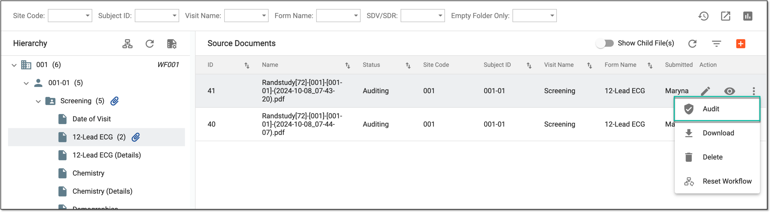 Accessing source document audit