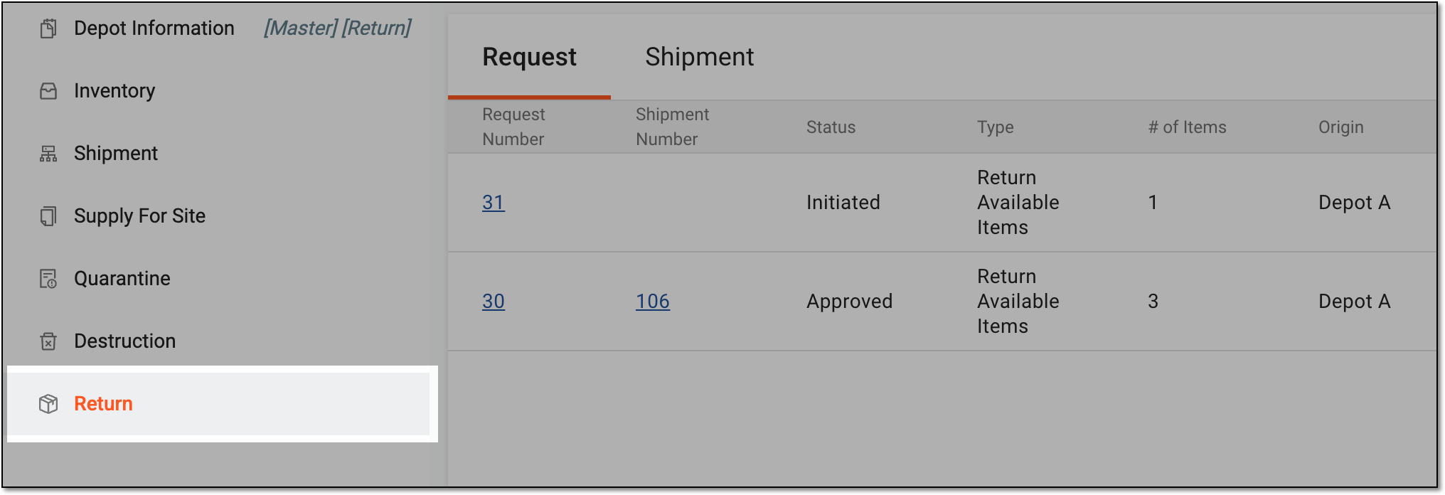 Accessing depot item return