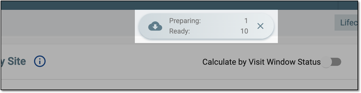 Selecting downloads widget for CRF completion status report
