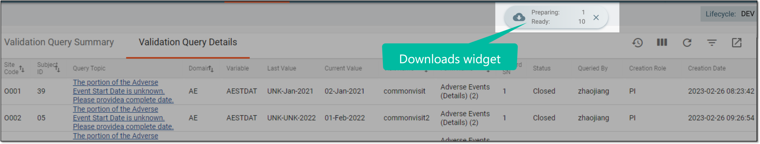 Downloads widget