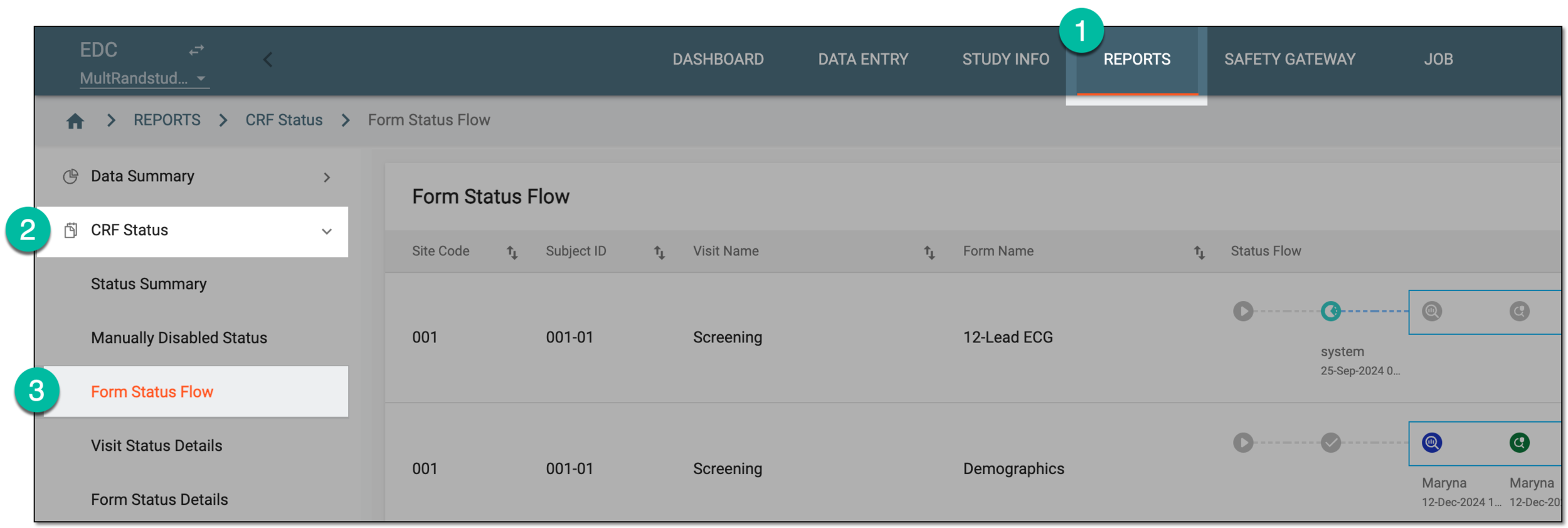 Accessing form status flow report