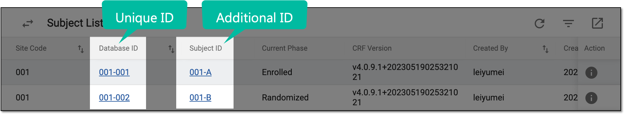 Unique and additional IDs example