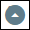 icon_show_dataset.png