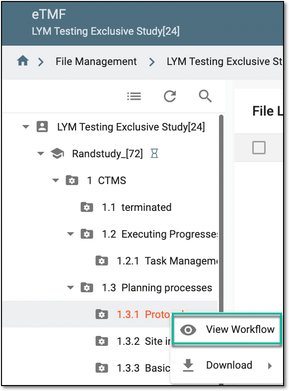 Accessing option to view workflow