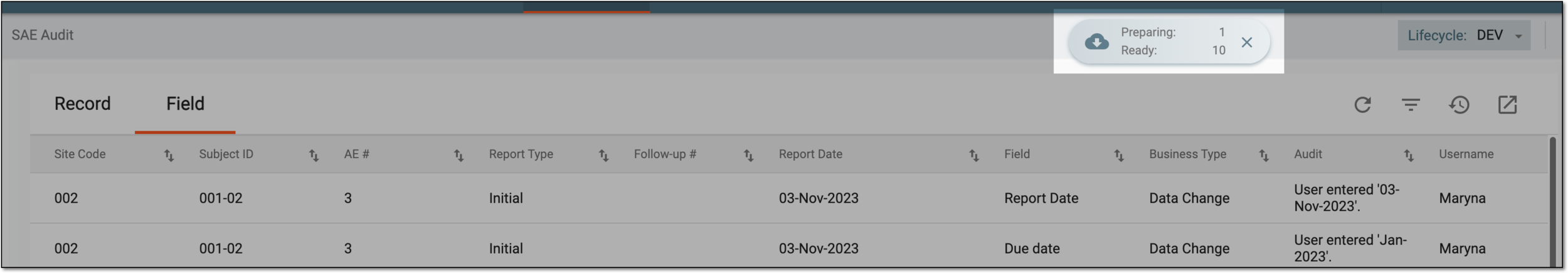 SAE audit downloads widget