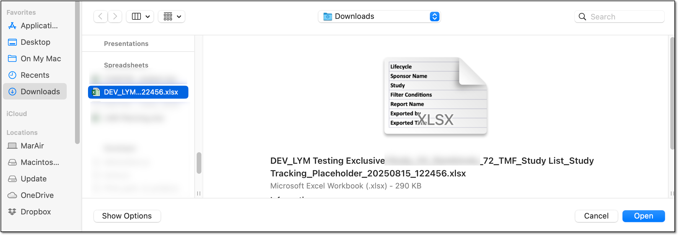 Locating XLSX file on your PC